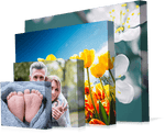 Canvas Prints